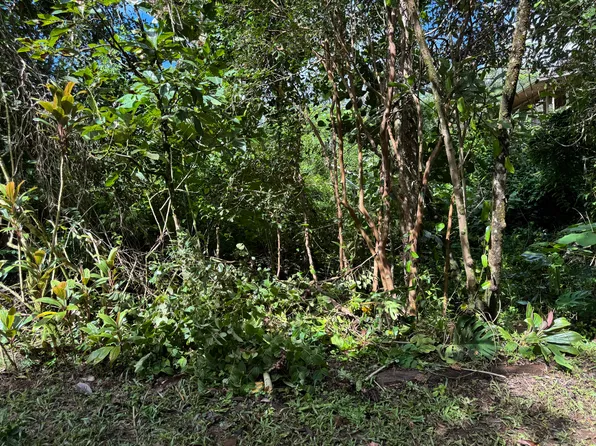 Puna St Lot 586, Pahoa, HI 96778