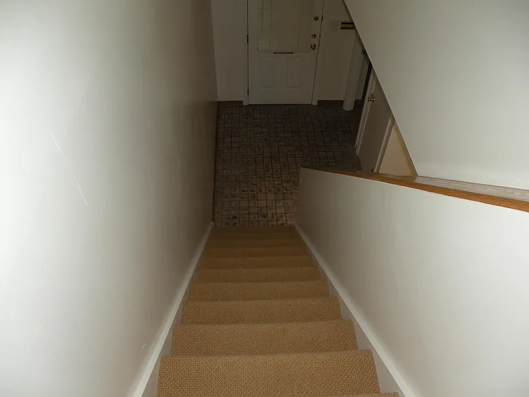 704 Bellefonte St #3 — Photo 42