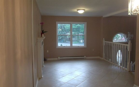 Living room with fireplace