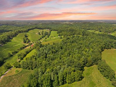 249 Sorrell Rd, Wellington, KY, 40387