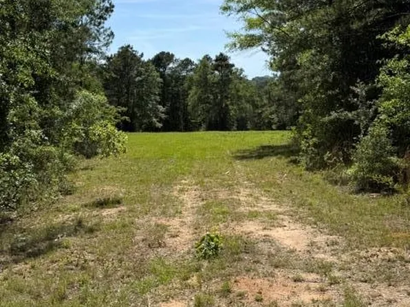 0 County Road 225, Ozark, AL 36360