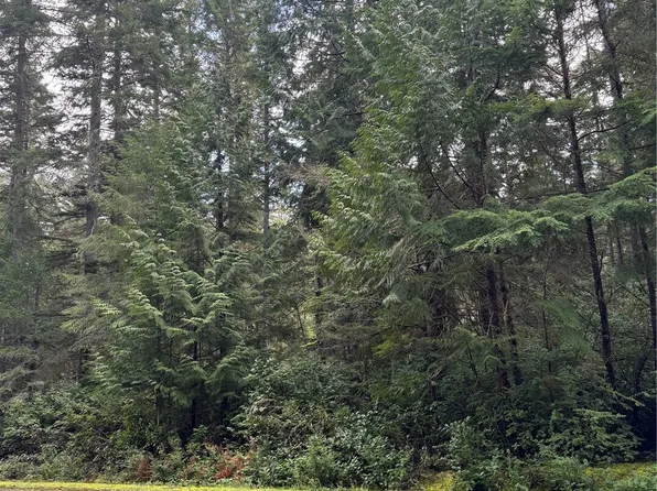 11022 Admiralty Way, Anderson Island, WA 98303