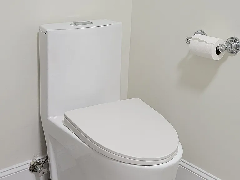 new toilet