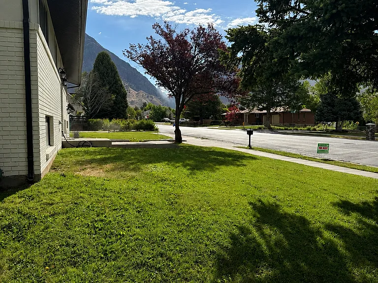 Front yard view of the mountains.