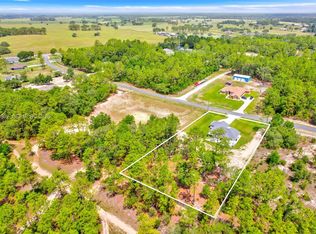 13822 SW 61st Place Rd, Ocala, FL 34481