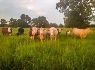 2000 Fm 1696 Rd W, Bedias, TX 77831