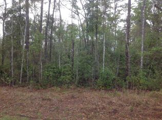 125 Hardee Field Rd, Waverly, GA 31565