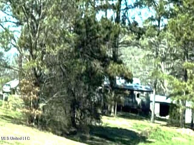 2nd image of 1130 Bush Rd