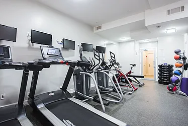 Rented by Bold New York