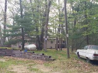 2463 W Lake Shore Dr, Bitely, MI 49309