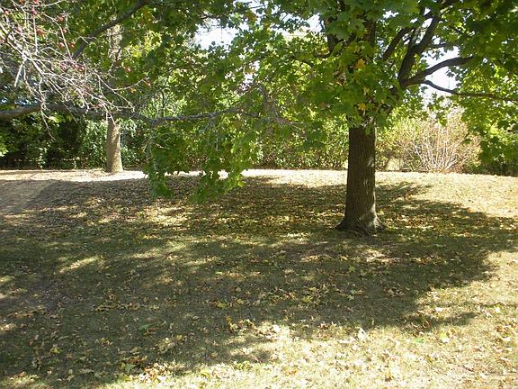 Shady yard, near Aldeen Park