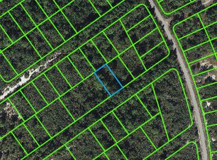 1228 Heathrow St, Lake Placid, FL 33852