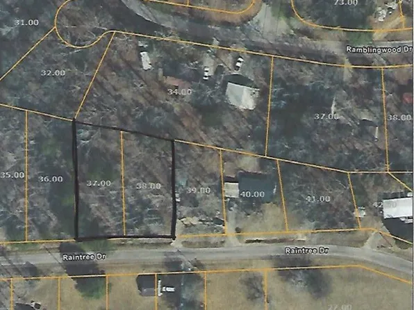 0 Raintree Dr, Big Sandy, TN 38221