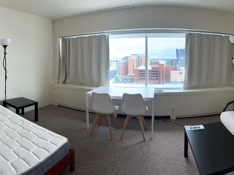 Panoramic with full living and sleeping space. Use a screen to turn a studio into a one bedroom!