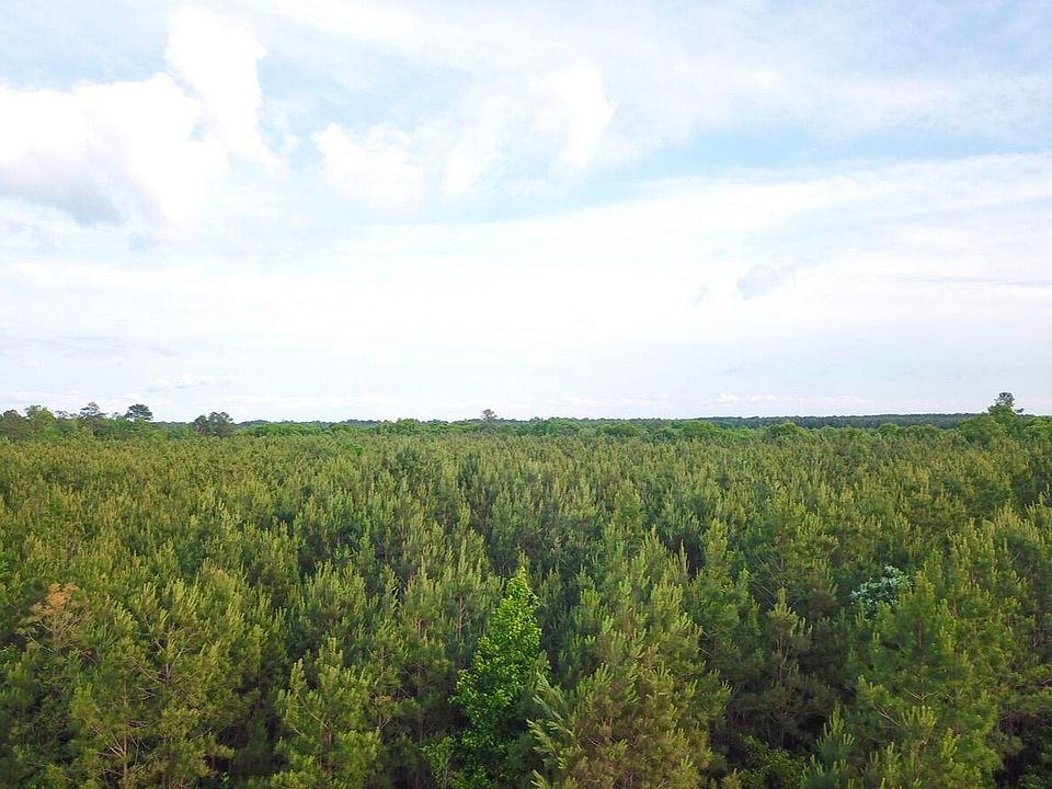 2nd image of TRACT One Dry Branch Rd