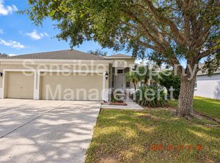10914 Australian Pine Dr, Riverview, FL 33579