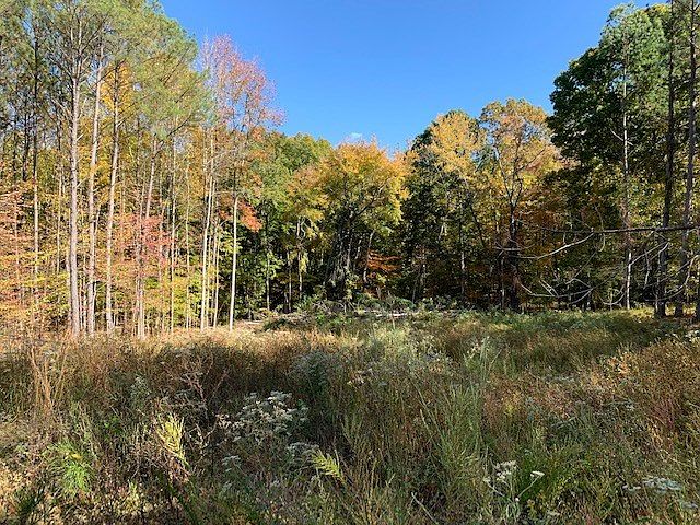 2nd image of 1245 Travis Boyd Rd