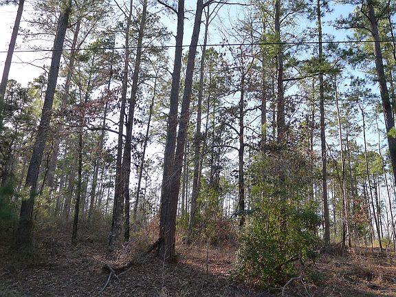 3rd image of Lot # 9 Acr 330