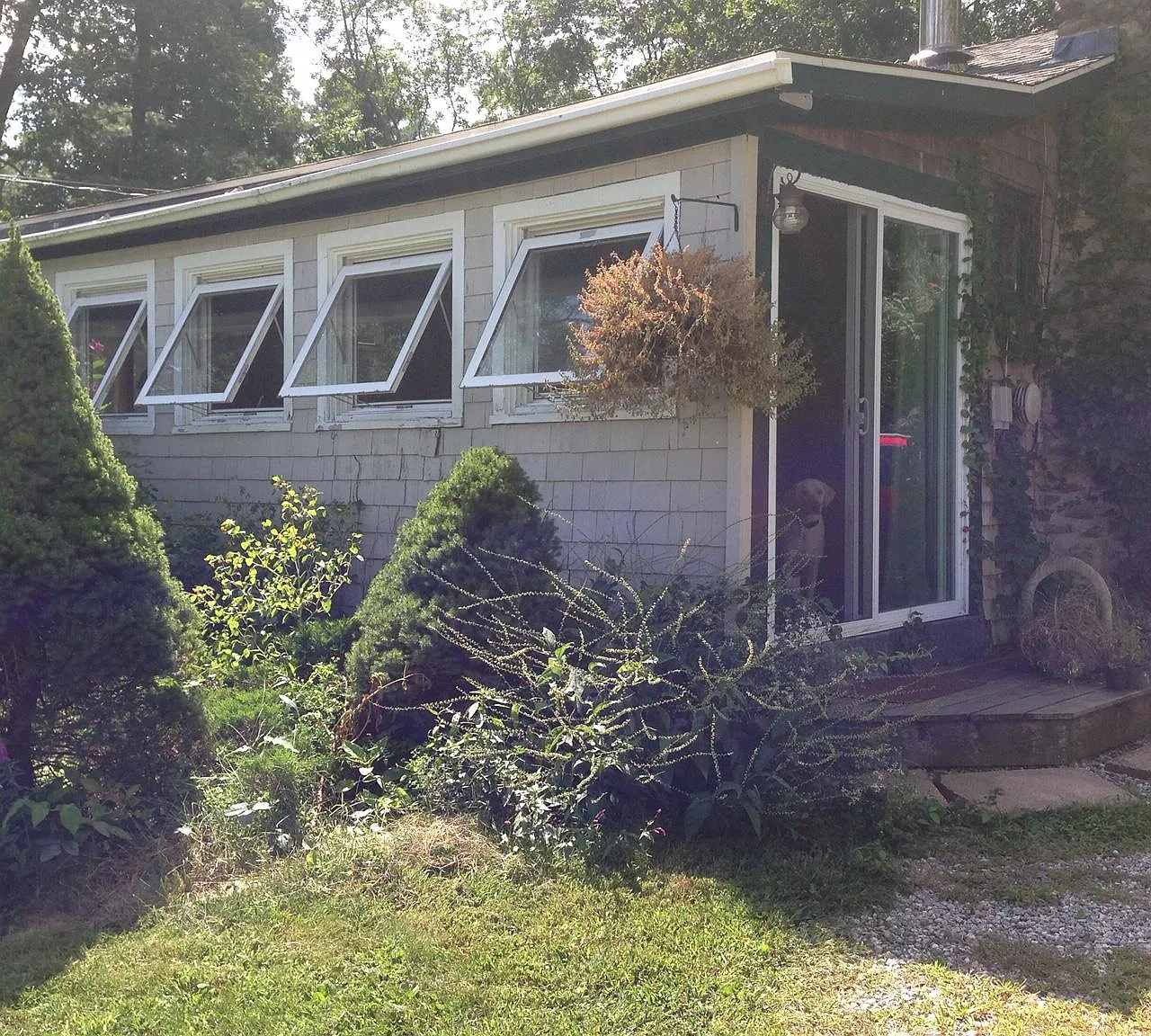 1 bed, 811 sqft, $2,250 — Photo 3