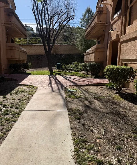 Surroundings