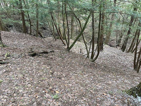 4th image of Emerson Rd