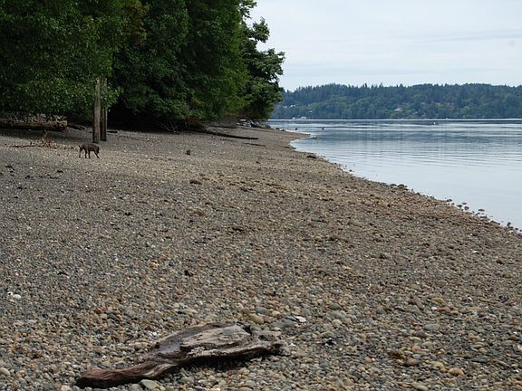 4th image of 814 46th Ave NE