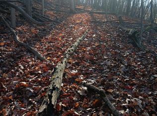 Gray Ave, Cumberland, MD 21502