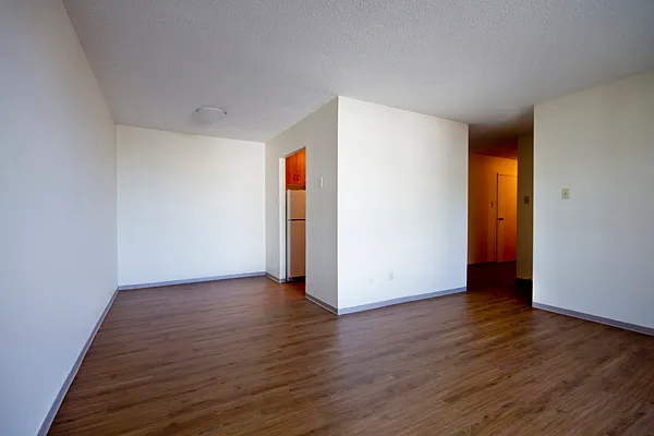 33 Killarney Ave — Photo 6