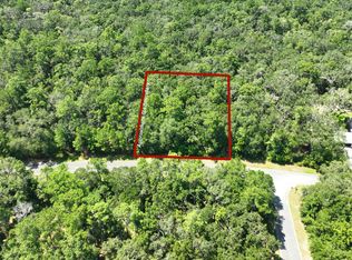 LOT 50 Tar Flower Trl, Waverly, GA 31565