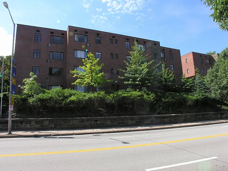 Street Level View