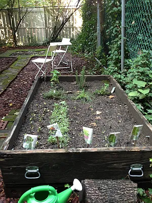 Rented by Francine Realty | media 33