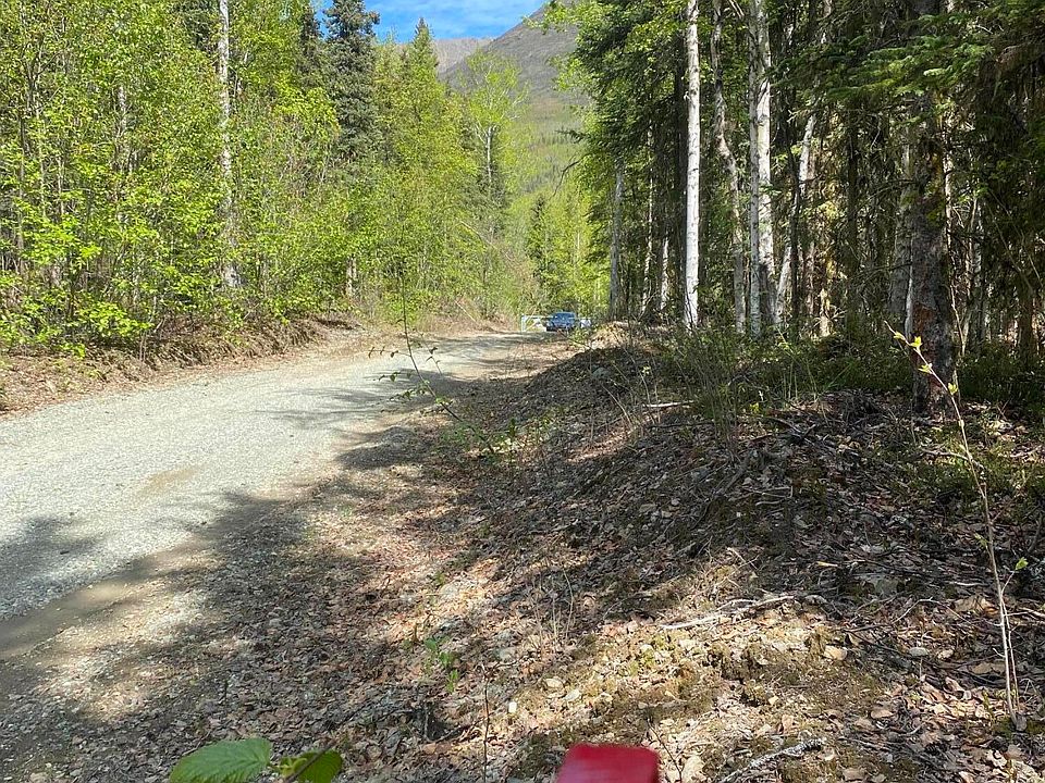 2nd image of 0 Road Eklutna