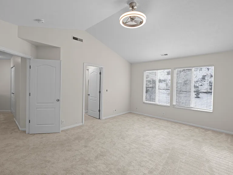 E Candle Spruce Cv — Photo 10