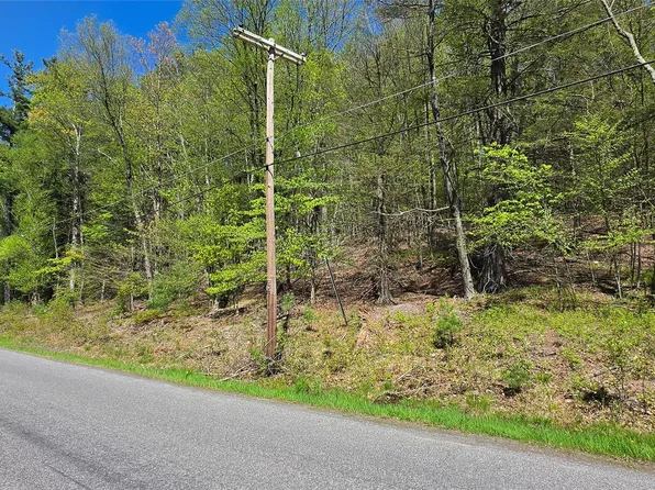 Hamilton Road, Monticello, NY 12701