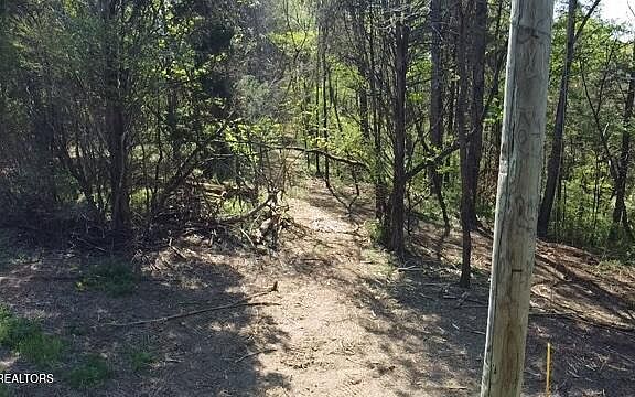2nd image of Short Bark Road Ac #10