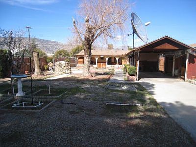 Fruit trees