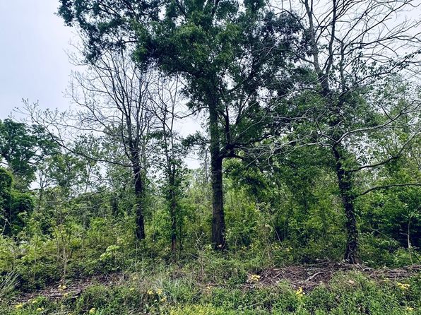 Pecan Grove Rd, Woodville, MS 39669