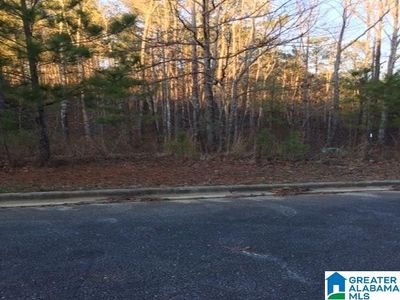 3605 Morgans Run Pkwy Lot 38, Bessemer, AL, 35022