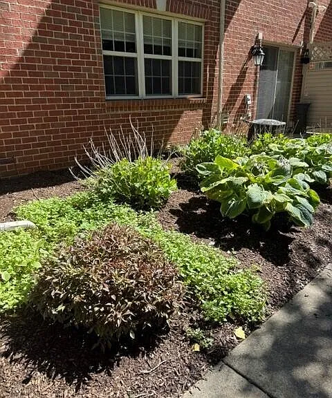 39528 Rockcrest Ln — Photo 3