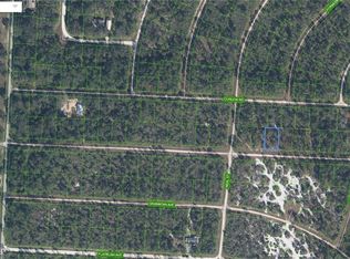 3227 Michele Ave, Lake Placid, FL 33852