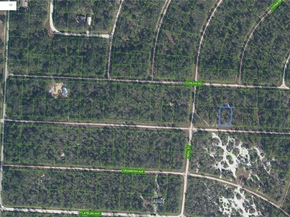 3227 Michele Ave, Lake Placid, FL 33852