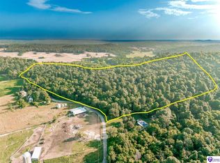 Hill Grove Rd, Guston, KY 40142