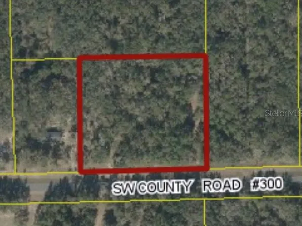 SW County Road 300, Mayo, FL 32066