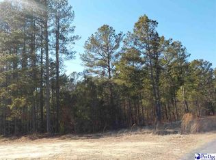 Mary Hubbard Rd, Clio, SC 29525