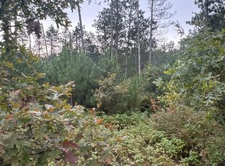 Hayden Lake Rd, Danbury, WI 54830