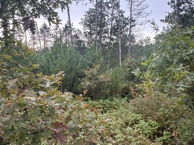 Hayden Lake Rd, Danbury, WI, 54830