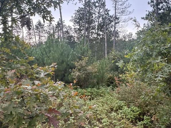 Hayden Lake Rd, Danbury, WI 54830