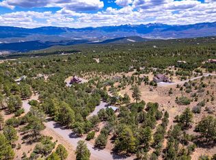 198 Meadow Ln, Ridgway, CO 81432