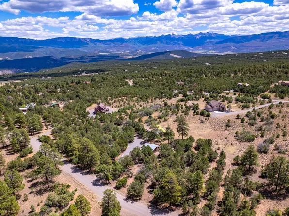 198 Meadow Ln, Ridgway, CO 81432