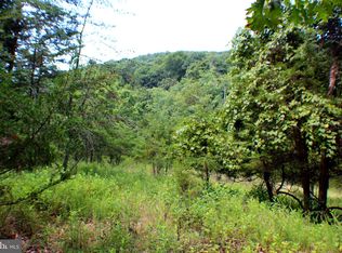 42.45 Acres Off, Purgitsville, WV 26852